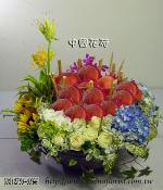 �s��:DSC07633fruit - ���e���§