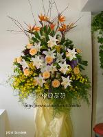 �s��:DSC09429 - �ڭ����N���x