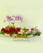 �s��:A0014 - ���֨�û�