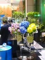 �s��:V0017 - �ӫ~�W��