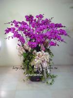 �s��:EP00008-1E - ��������