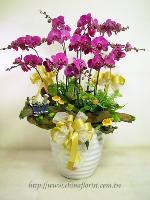 �s��:EP00033-1 - ������