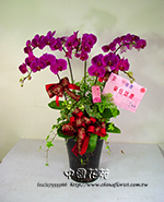 �s��:EP00044-5x2000B - ������