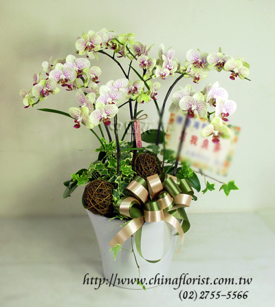 �s��:EP00047-1 - ������