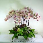 �s��:EP00062-1 - �S���~�ؽ�����