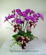 �s��:EP00068-1 - ������