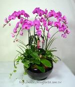 �s��:EP00093-1 - ������