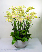 �s��:EP00127-1.jpg - ���⽹����