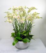 �s��:EP00127-1.jpg - ���⽹����