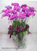 �s��:EP00133-1 - ������