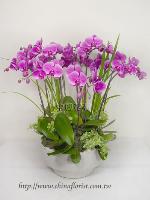 �s��:EP00147-1 - ������