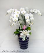 �s��:EP00150-1 - �զ⽹����