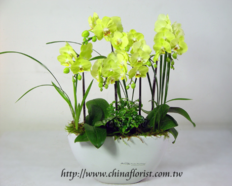 �s��:EP00167 - ���⽹����