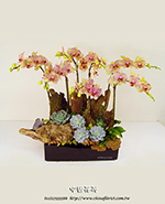 �s��:EP00350 - ������