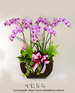 �s��:EP003533000B - ������