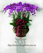 �s��:EP003938B - ������