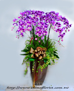 �s��:EP01686B - �öQ������