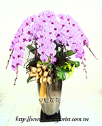 �s��:EP00457 - �x�W����������-���~