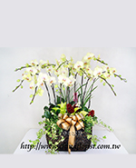 �s��:EP00470 - ������