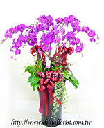 �s��:EP00501 - ������