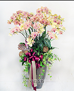 �s��:EP00518 - ������