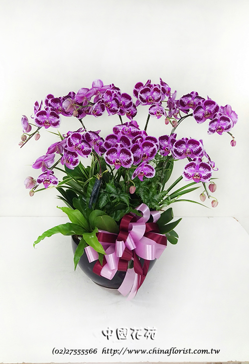 �s��:EP00564 - ������