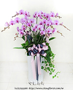 �s��:EP00565 - ������