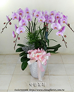 �s��:EP00567 - ������