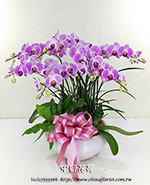 �s��:EP00570 - ������