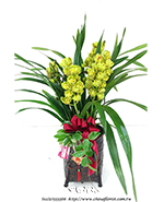 �s��:EP005764 - ����Y�� 