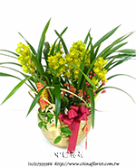 �s��:EP005765 - ���Y��