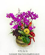 �s��:EP005796c - ������