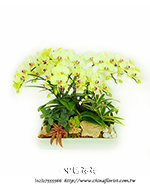 �s��:EP005797 - ������