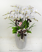 �s��:EP005804 - ������