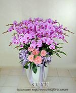 �s��:EP005806 - ������