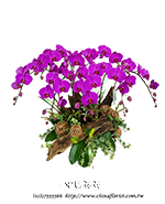 �s��:EP005807 - ������