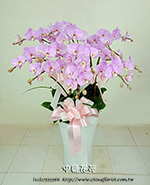 �s��:EP005811 - ������