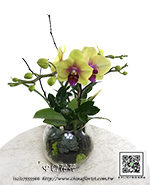 �s��:EP005816A - ��o������_�����Ᾱ