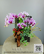 �s��:EP005861 - ������