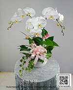 �s��:EP005869 - ������