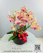 �s��:EP005871 - ������