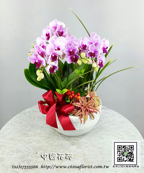 �s��:EP005872 - ������