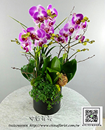 �s��:EP005875 - ������