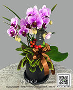 �s��:EP005877 - ������