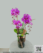 �s��:EP005893 - ��o������_�����Ᾱ