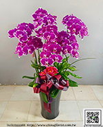 �s��:EP005907 - ������