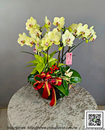 �s��:EP005921 - ������