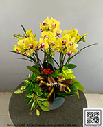 �s��:EP005927 - ������