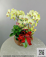 �s��:EP005929 - ������