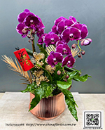 �s��:EP005989 - ������